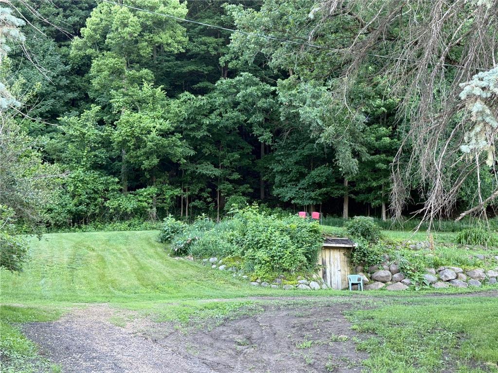 48050 Old River Bluff Road Saint Peter MN 56082 7091921 image75