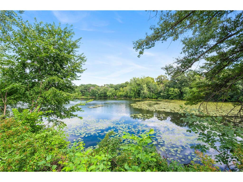 4806 Shevlin Court Eagan MN 55122 7101141 image41