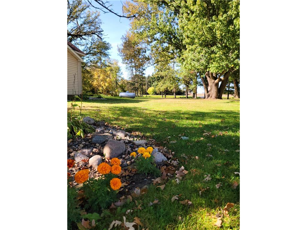 48088 County Highway 13 Perham MN 56573 6804827 image27