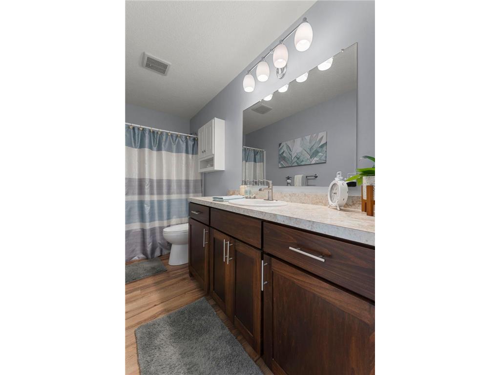 48089 Autumn Court Stanchfield MN 55080 - Goose 7095789 image24
