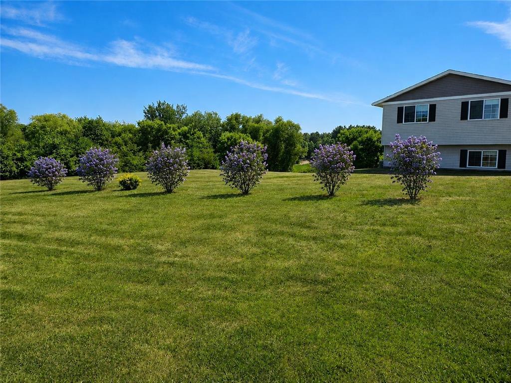 48089 Autumn Court Stanchfield MN 55080 - Goose 7095789 image55
