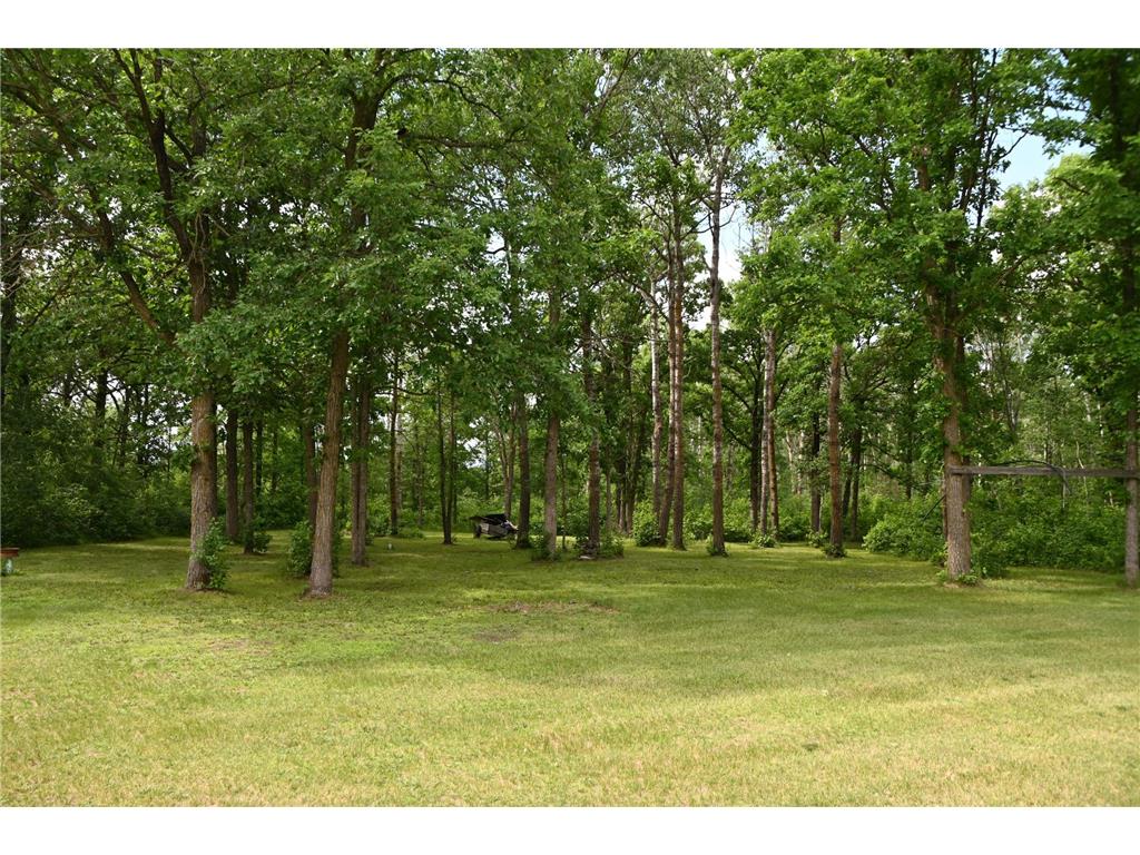 481 E River Road Motley MN 56466 7091742 image14