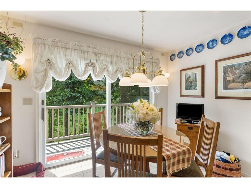 481 Peavey Lane Wayzata MN 55391 7014977 image18