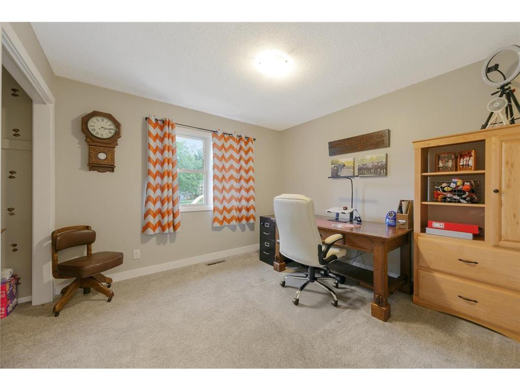 48135 Red Iron Road Kasota MN 56050 7023737 image10