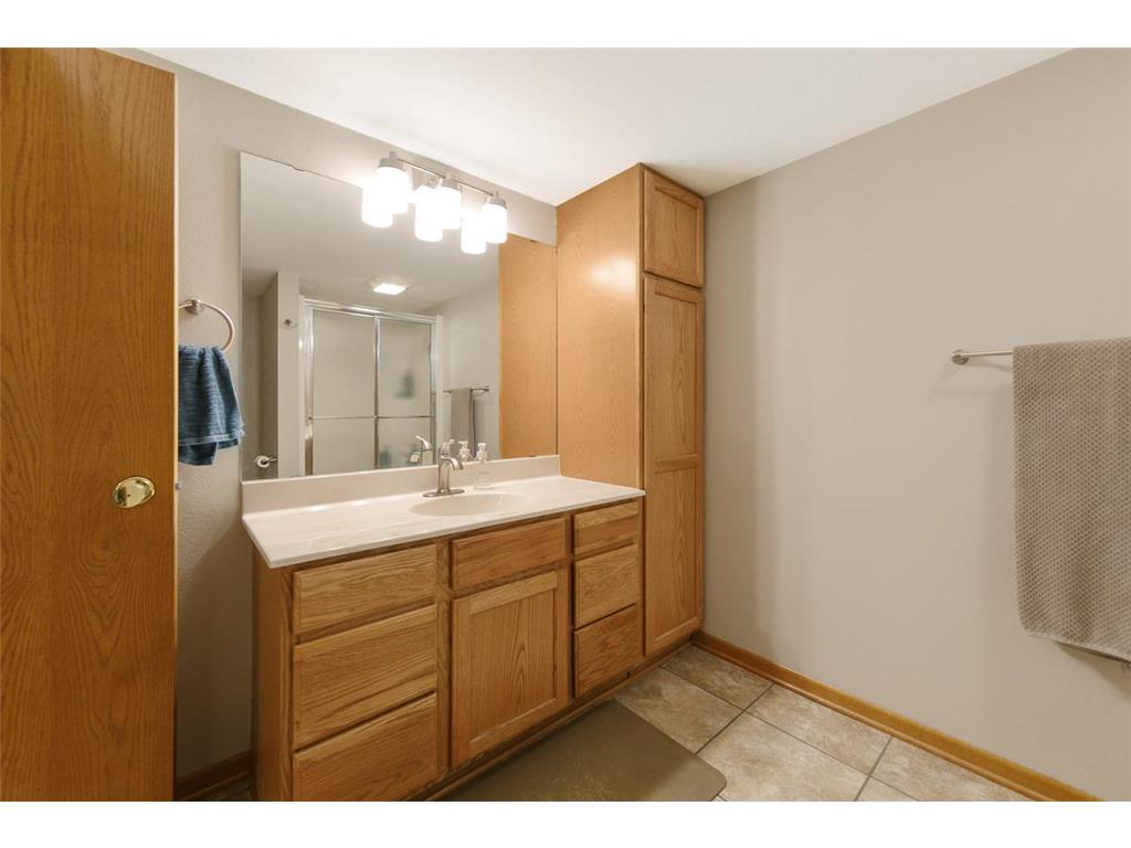48135 Red Iron Road Kasota MN 56050 7023737 image16