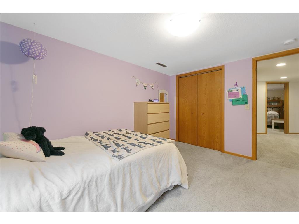 48135 Red Iron Road Kasota MN 56050 7023737 image20