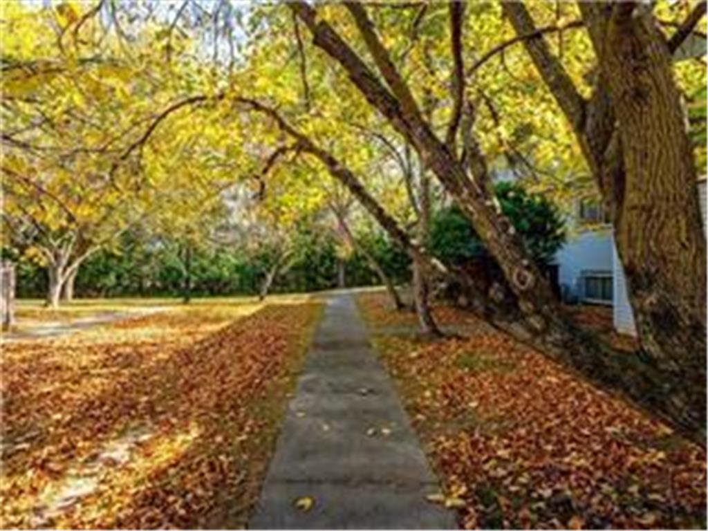 4819 Grenwich Way N Oakdale MN 55128 6821832 image16