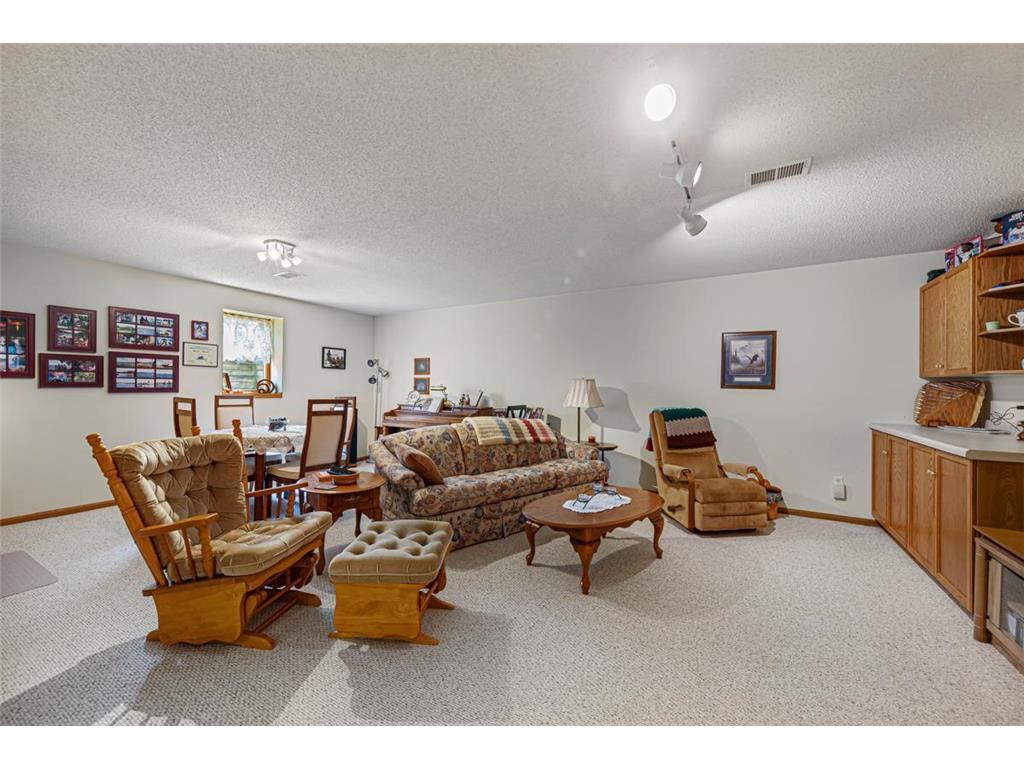 4820 Echo Court Faribault MN 55021 - Cannon 6786201 image42