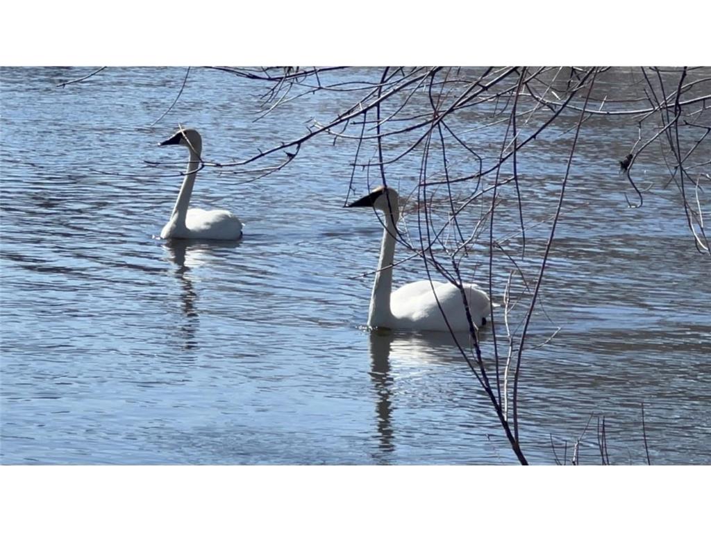 48225 Great River Road Palisade MN 56469 - Mississippi 7039707 image22