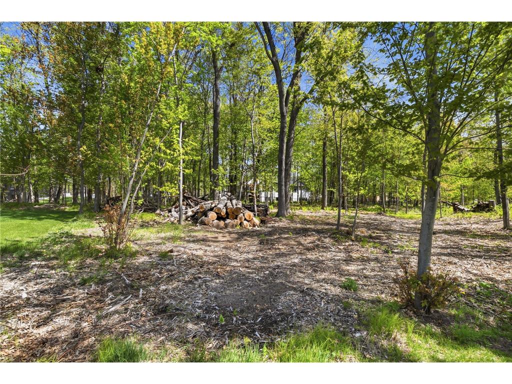 4823 145th Avenue NE Ham Lake MN 55304 7075104 image38