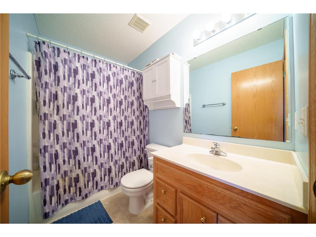 4823 Birch Street Hampton MN 55031 7029744 image36