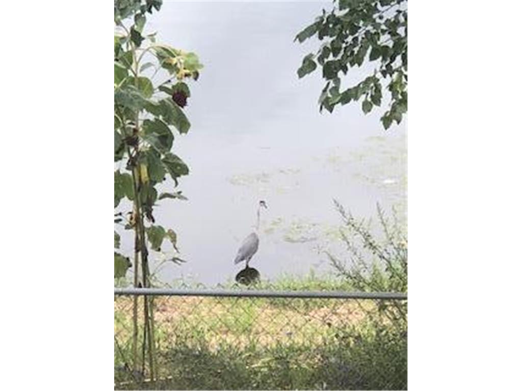 4826 57th Street NW Rochester MN 55901 7062527 image65