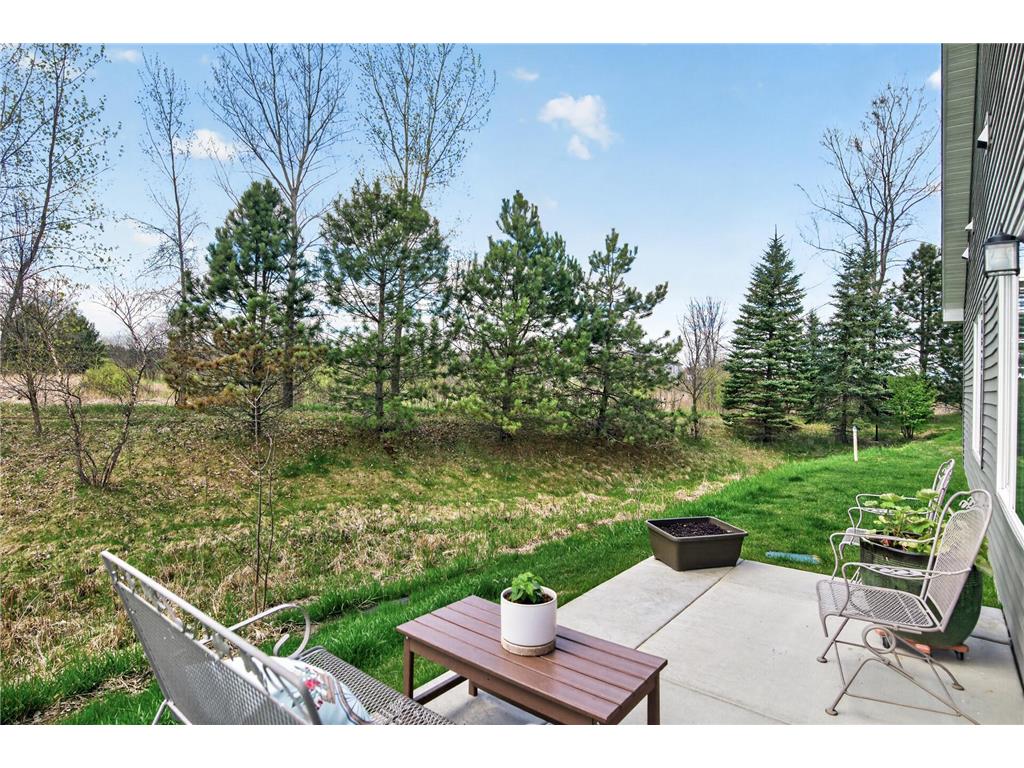 4827 Education Drive N Hugo MN 55038 7062265 image27