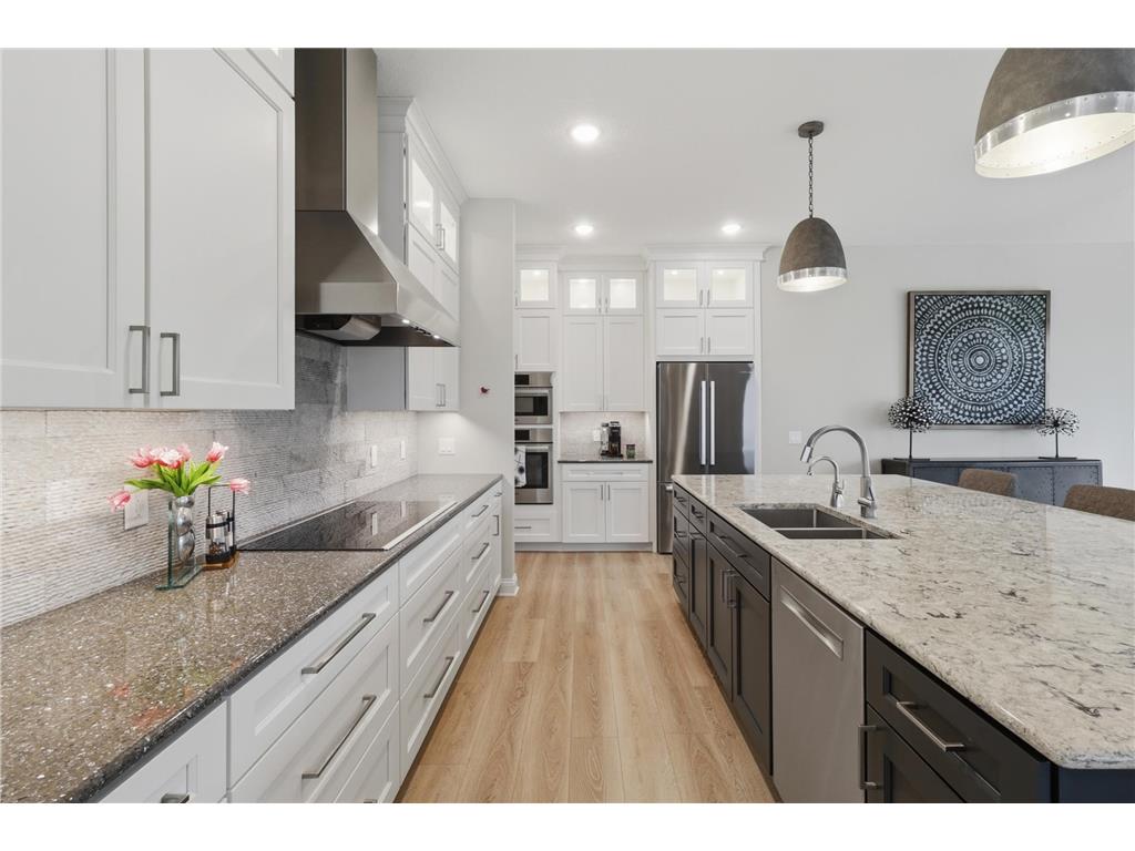 4829 Linden Cove Lane Savage MN 55378 - Hanrahan 7082474 image8