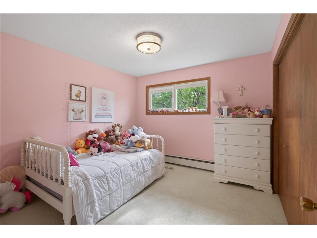4830 Shady Lane N Minnetonka MN 55345 7039461 image19