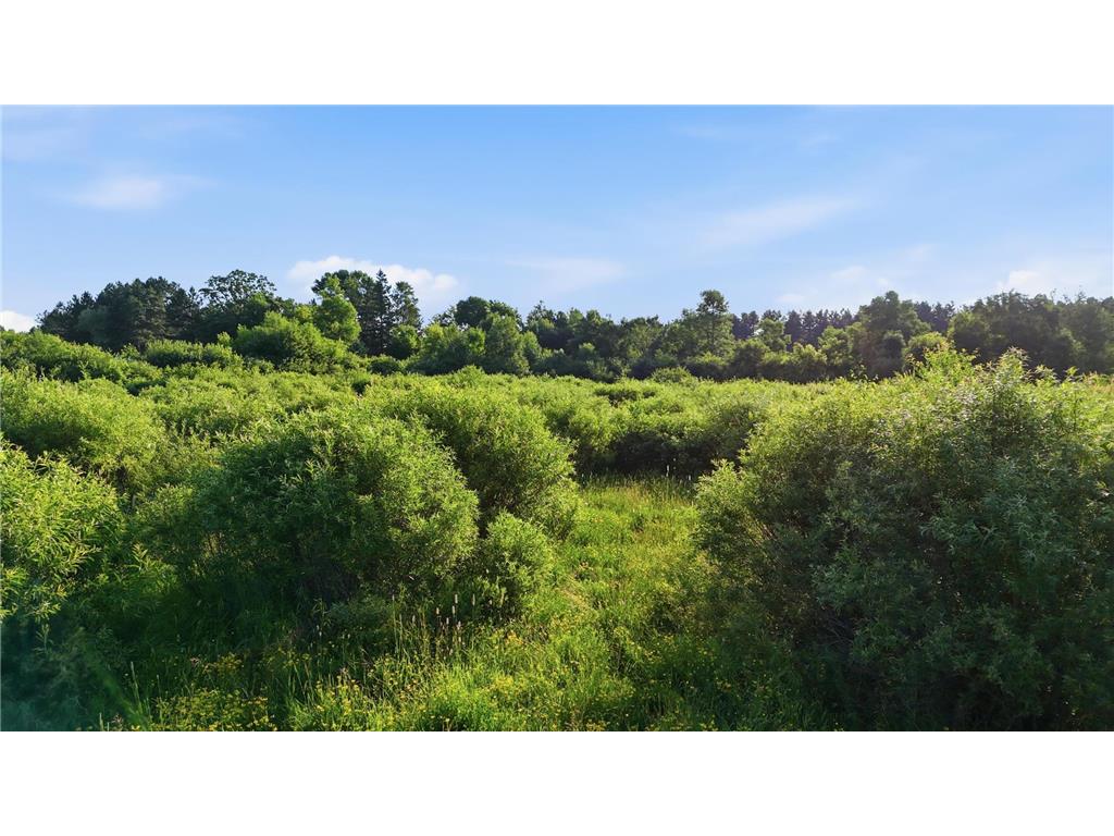 4832 Florence Drive Moose Lake Twp MN 55767 7105288 image11