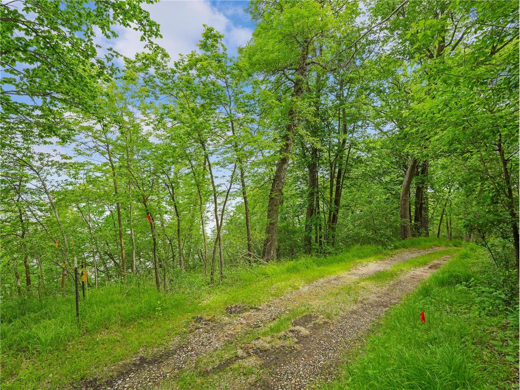 483XX Squaw Point Trl Perham MN 56573 - Big Pine Lake 7088380 image25