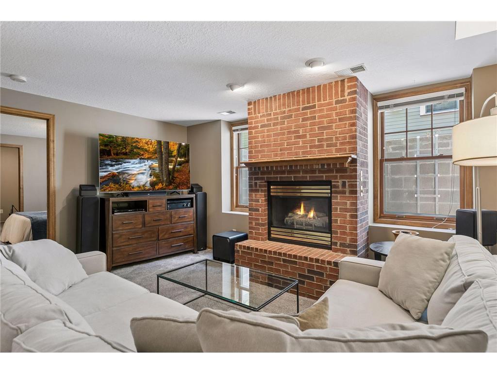 484 Laurel Avenue Saint Paul MN 55102 7087904 image32