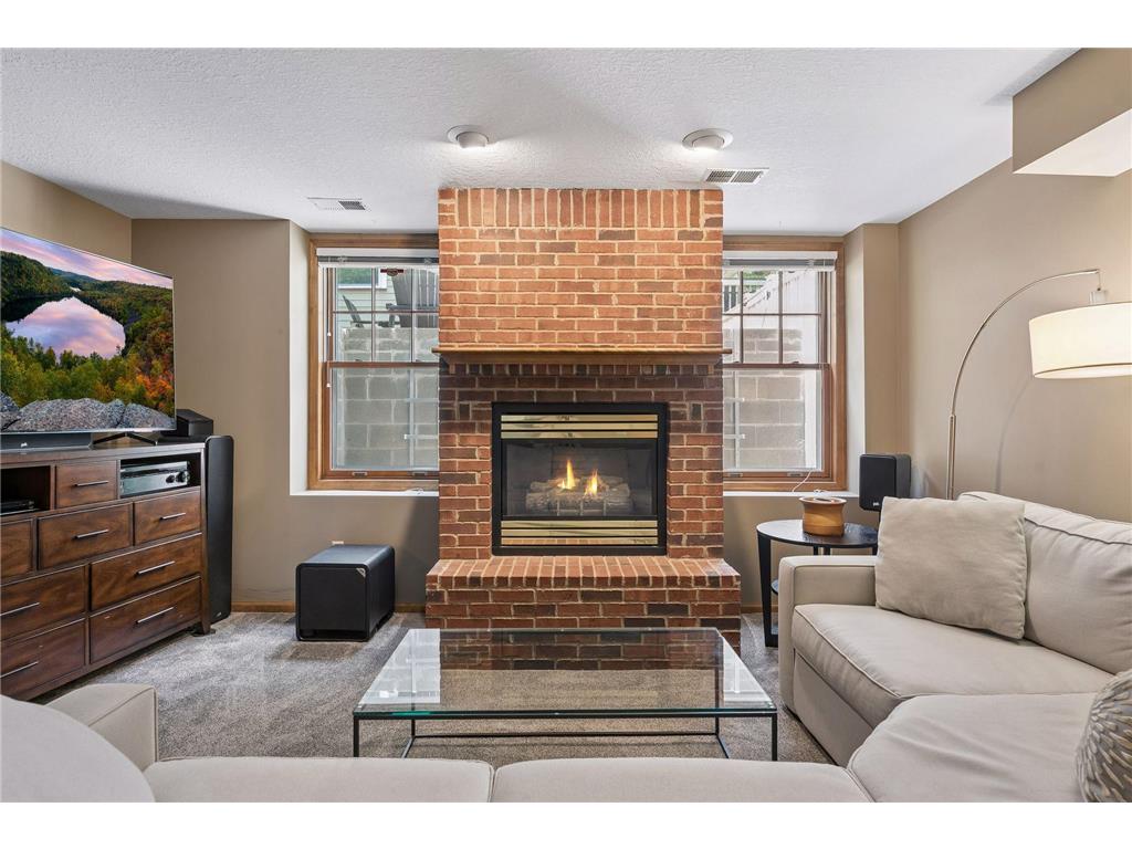 484 Laurel Avenue Saint Paul MN 55102 7087904 image33