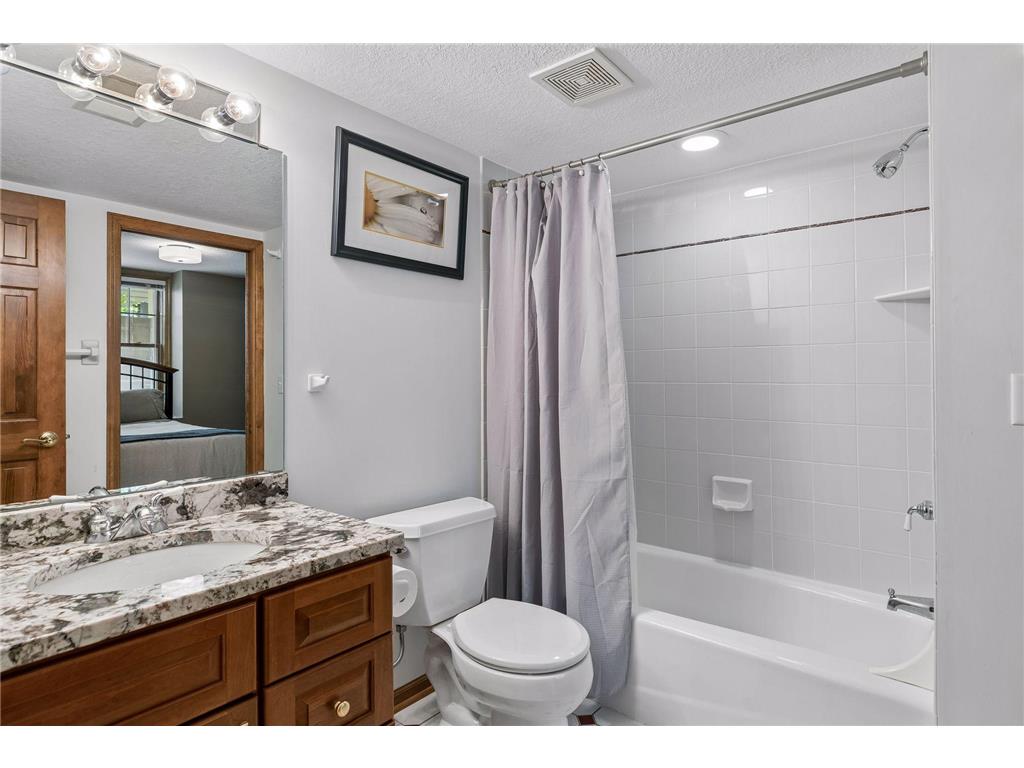 484 Laurel Avenue Saint Paul MN 55102 7087904 image38