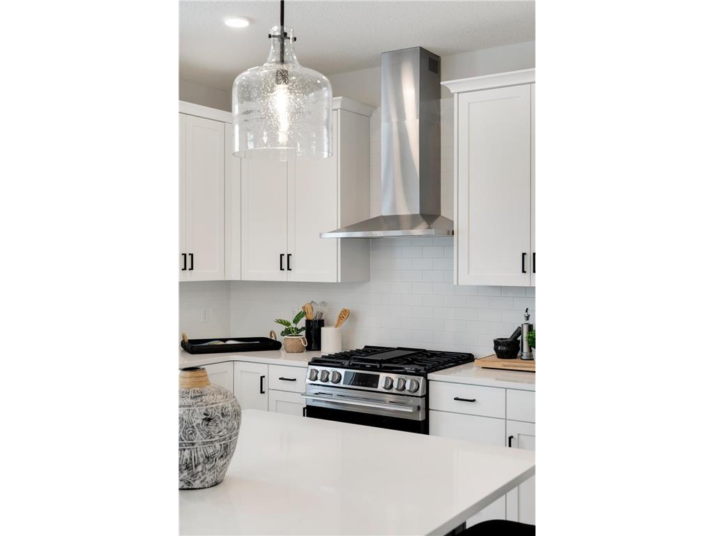 4842 Baker Reserve Lane Lane Maple Plain MN 55359 6808326 image4