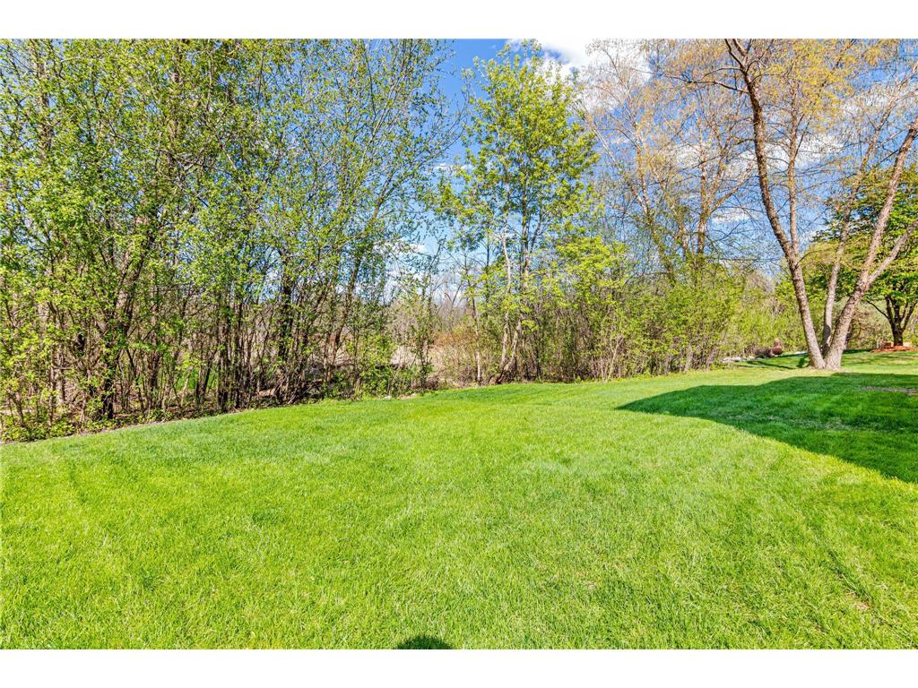 4850 Fable Hill Parkway N Hugo MN 55038 7071093 image43