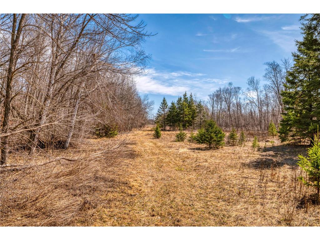 4850 Van Buren Avenue SE Frohn Twp MN 56601 7050316 image69
