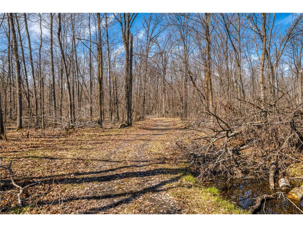 4850 Van Buren Avenue SE Frohn Twp MN 56601 7050316 image72
