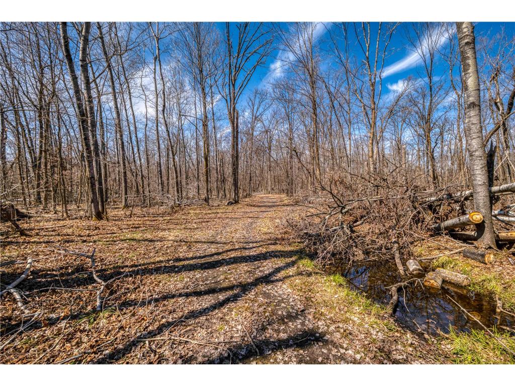 4850 Van Buren Avenue SE Frohn Twp MN 56601 7050316 image73