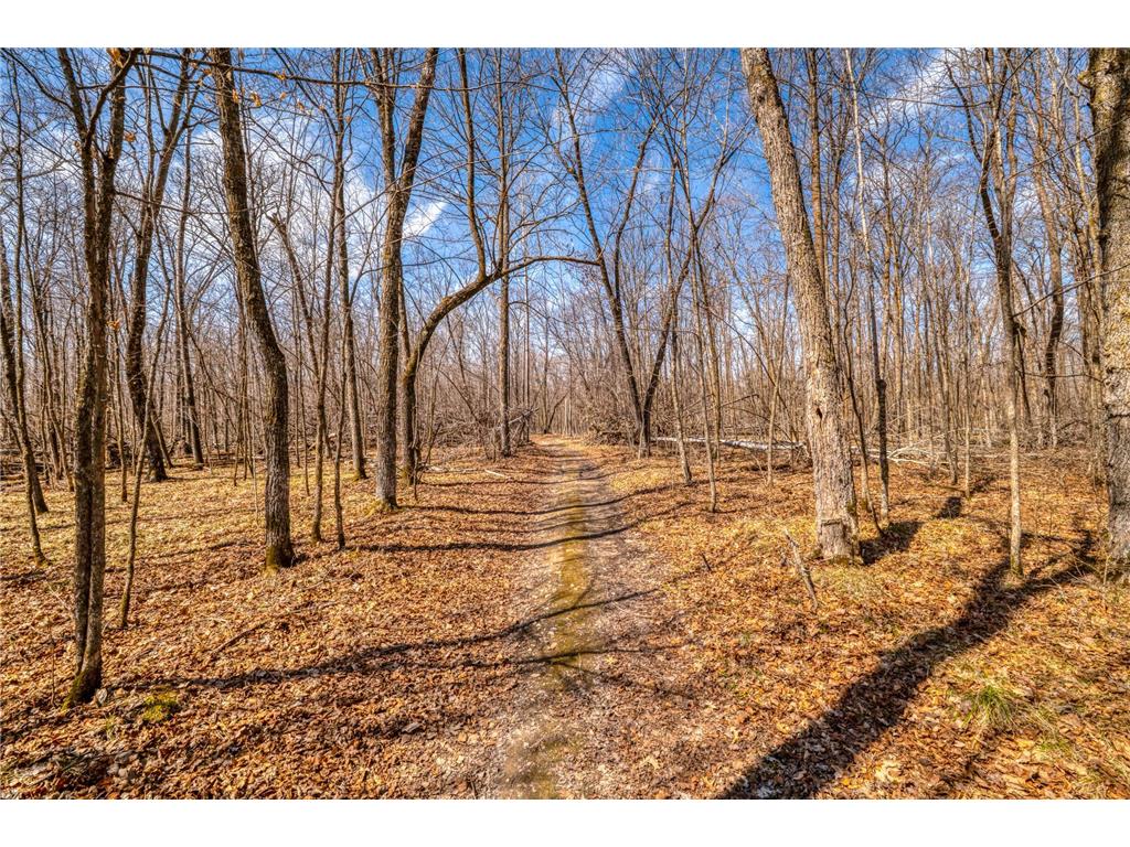 4850 Van Buren Avenue SE Frohn Twp MN 56601 7050316 image74