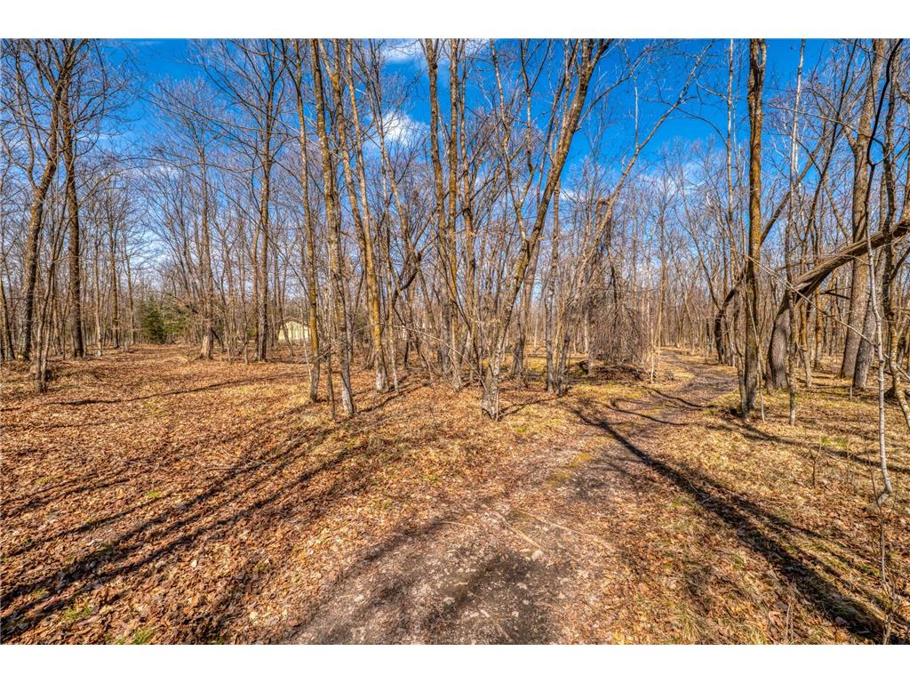 4850 Van Buren Avenue SE Frohn Twp MN 56601 7050316 image75