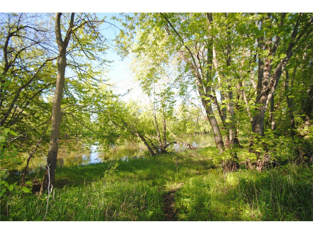 4851 Maple Street Rockford MN 55373 - Crow River 7035552 image5