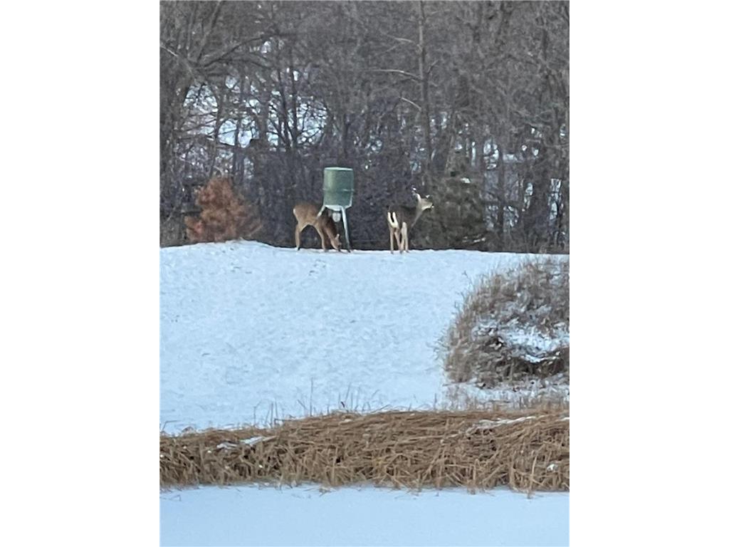 4852 Bennett Street SE Prior Lake MN 55372 7022035 image46