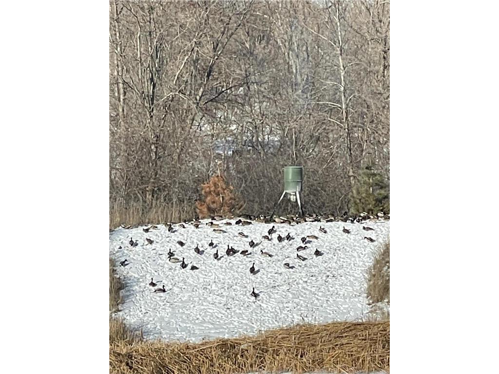 4852 Bennett Street SE Prior Lake MN 55372 7022035 image47