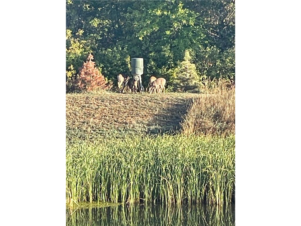 4852 Bennett Street SE Prior Lake MN 55372 7022035 image51