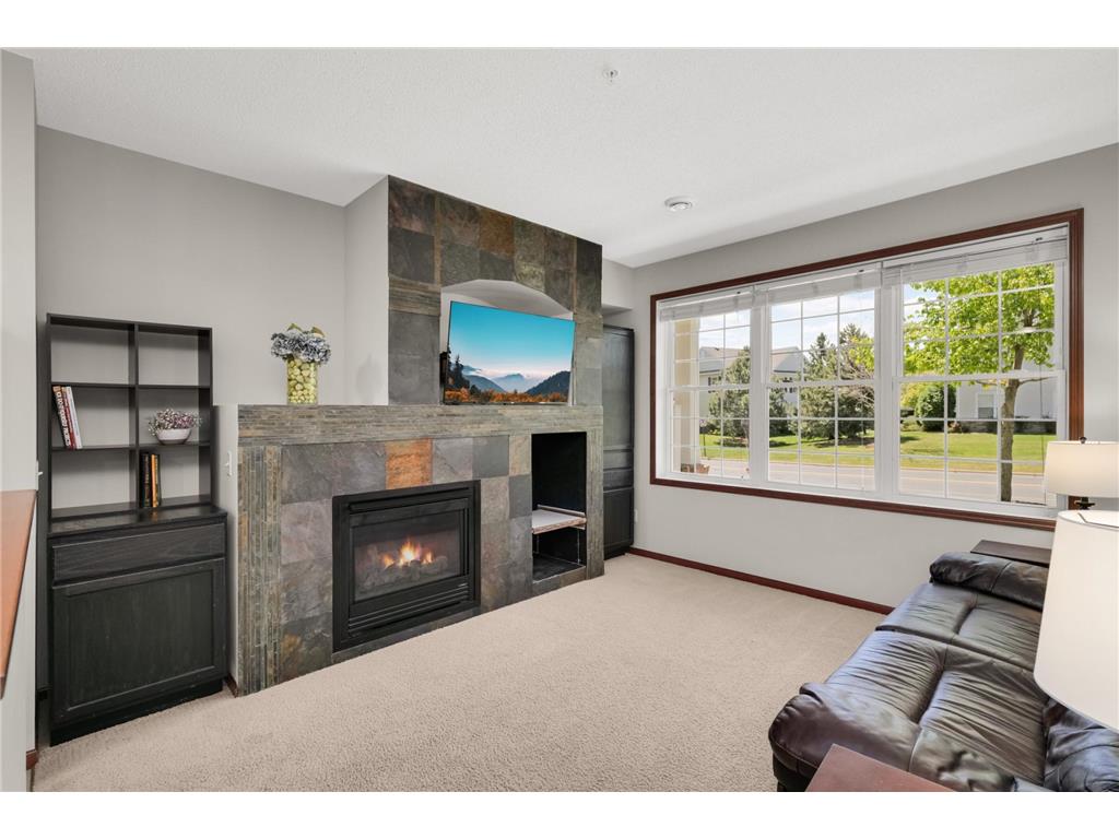 4859 Boatman Lane #6602 Inver Grove Heights MN 55076 7066562 image11