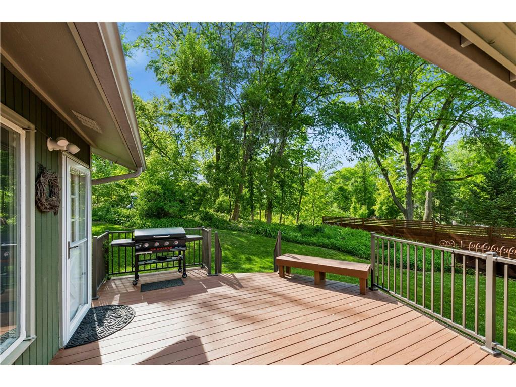 4860 Kingsberry Lane Minnetonka MN 55345 7064430 image29
