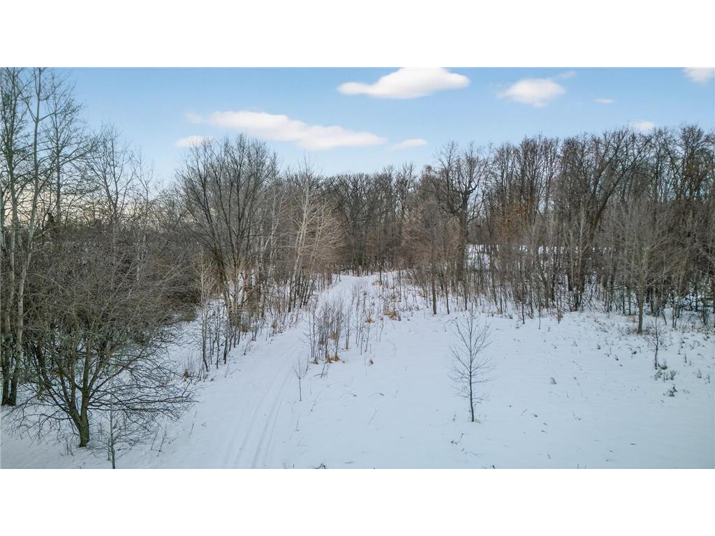 48600 Anchor Avenue Nessel Twp MN 55080 7044548 image28