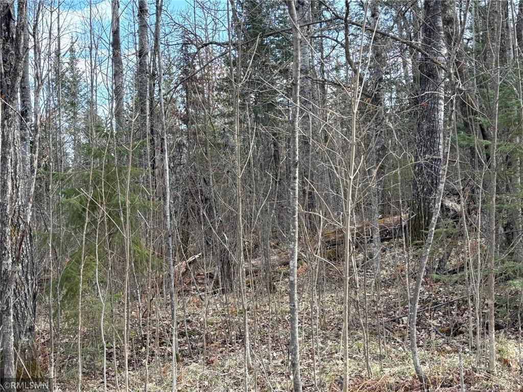 48613 334th Place Palisade MN 56469 6714229 image1