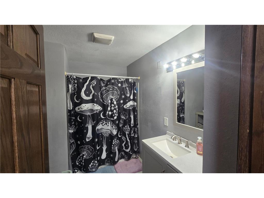 48696 Apple Avenue #A Lake Mills IA 50450 7074636 image20