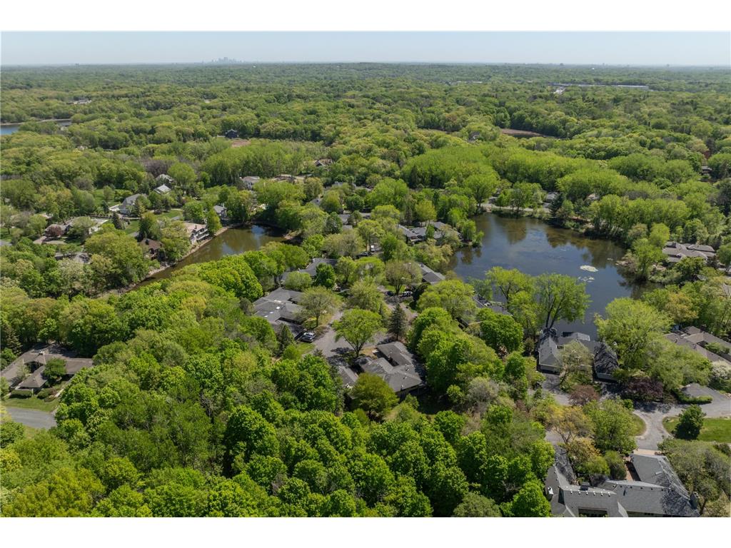4874 Regents Walk Shorewood MN 55331 7056885 image46