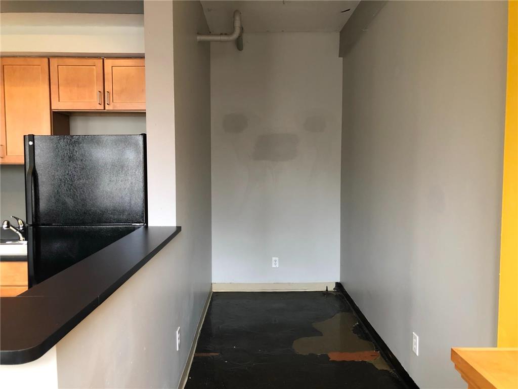 488 Wabasha Street N #201 Saint Paul MN 55102 6759706 image12