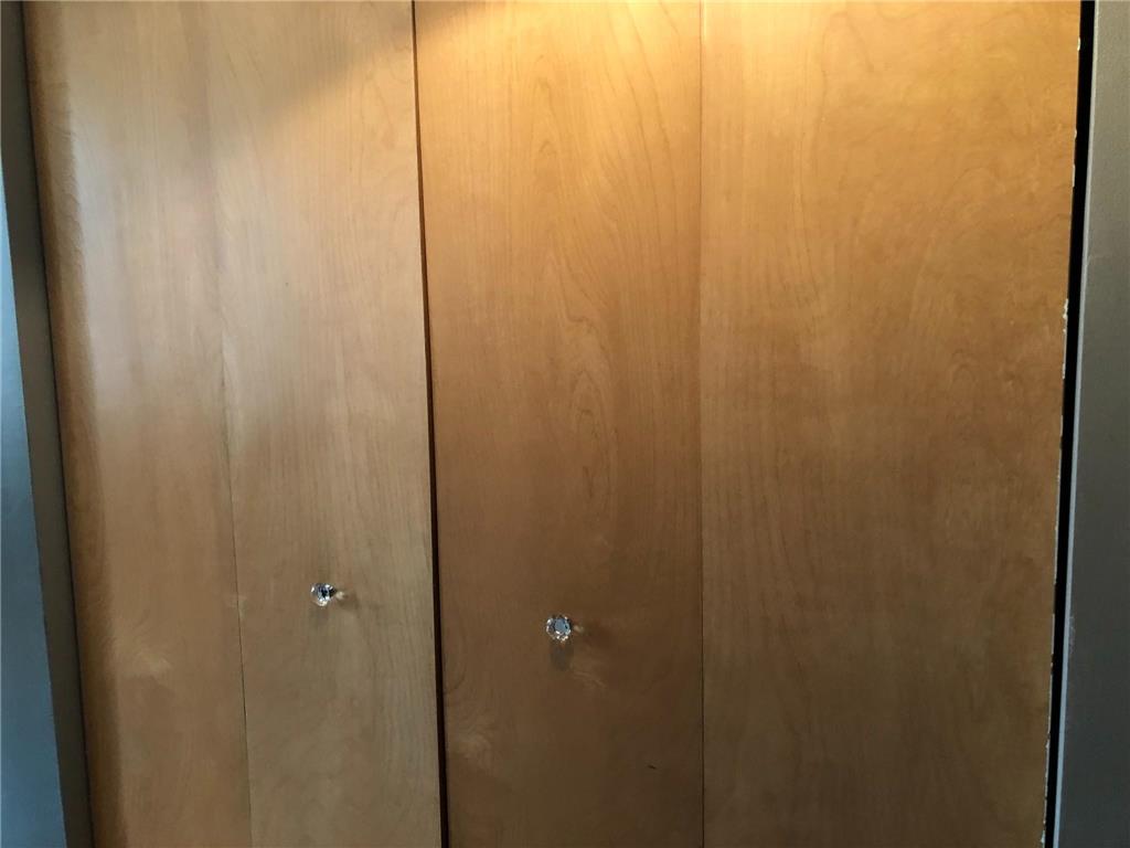 488 Wabasha Street N #201 Saint Paul MN 55102 6759706 image17