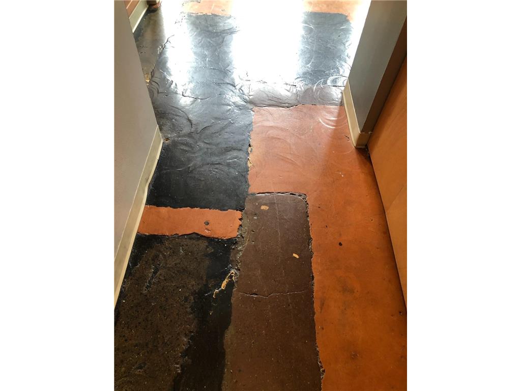 488 Wabasha Street N #201 Saint Paul MN 55102 6759706 image18