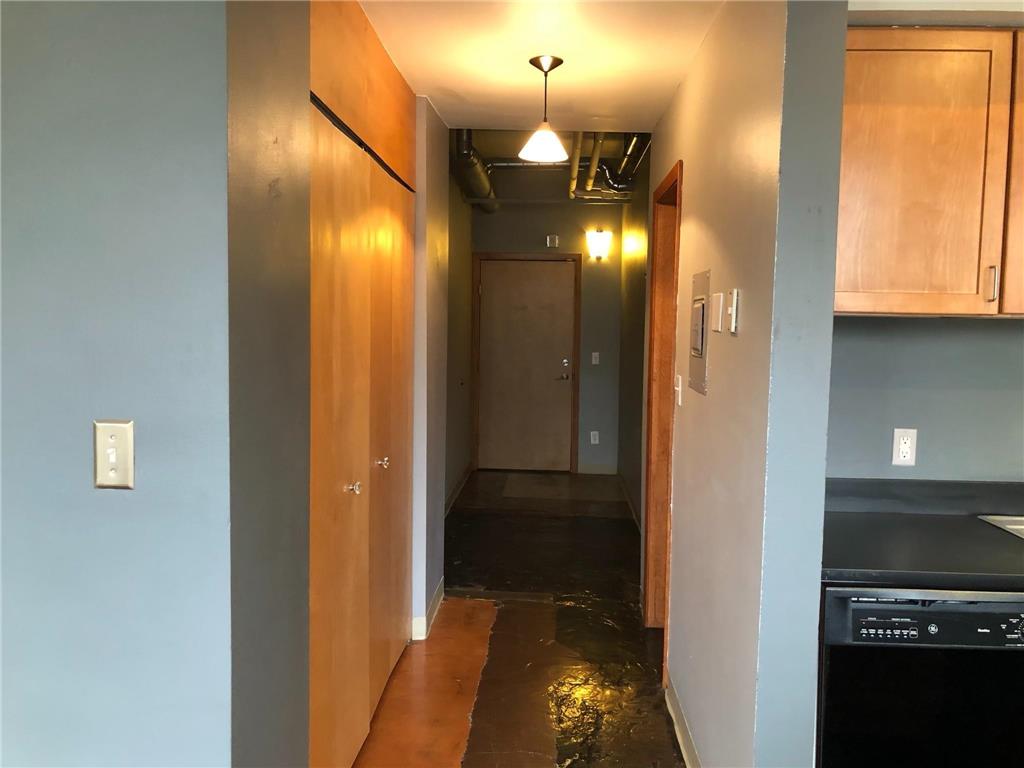 488 Wabasha Street N #201 Saint Paul MN 55102 6759706 image2