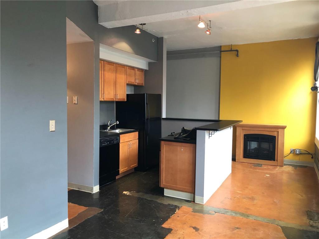 488 Wabasha Street N #201 Saint Paul MN 55102 6759706 image3