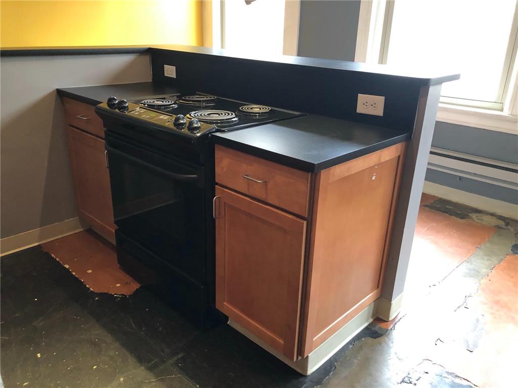 488 Wabasha Street N #201 Saint Paul MN 55102 6759706 image7