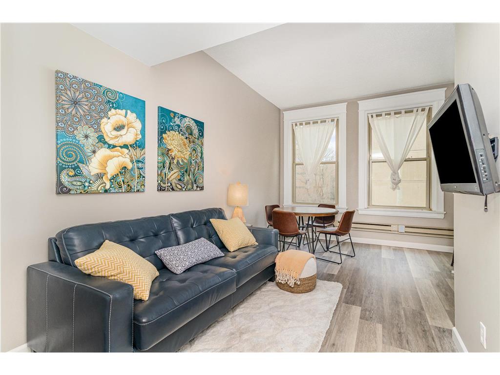 488 Wabasha Street N #303 Saint Paul MN 55102 7003648 image1