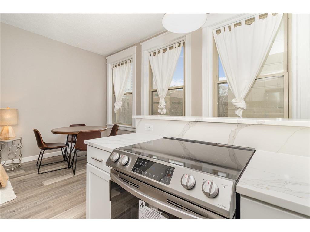 488 Wabasha Street N #303 Saint Paul MN 55102 7003648 image13