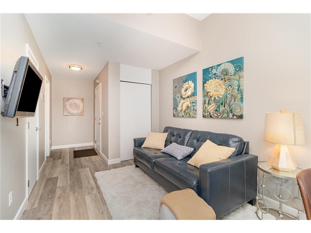 488 Wabasha Street N #303 Saint Paul MN 55102 7003648 image2